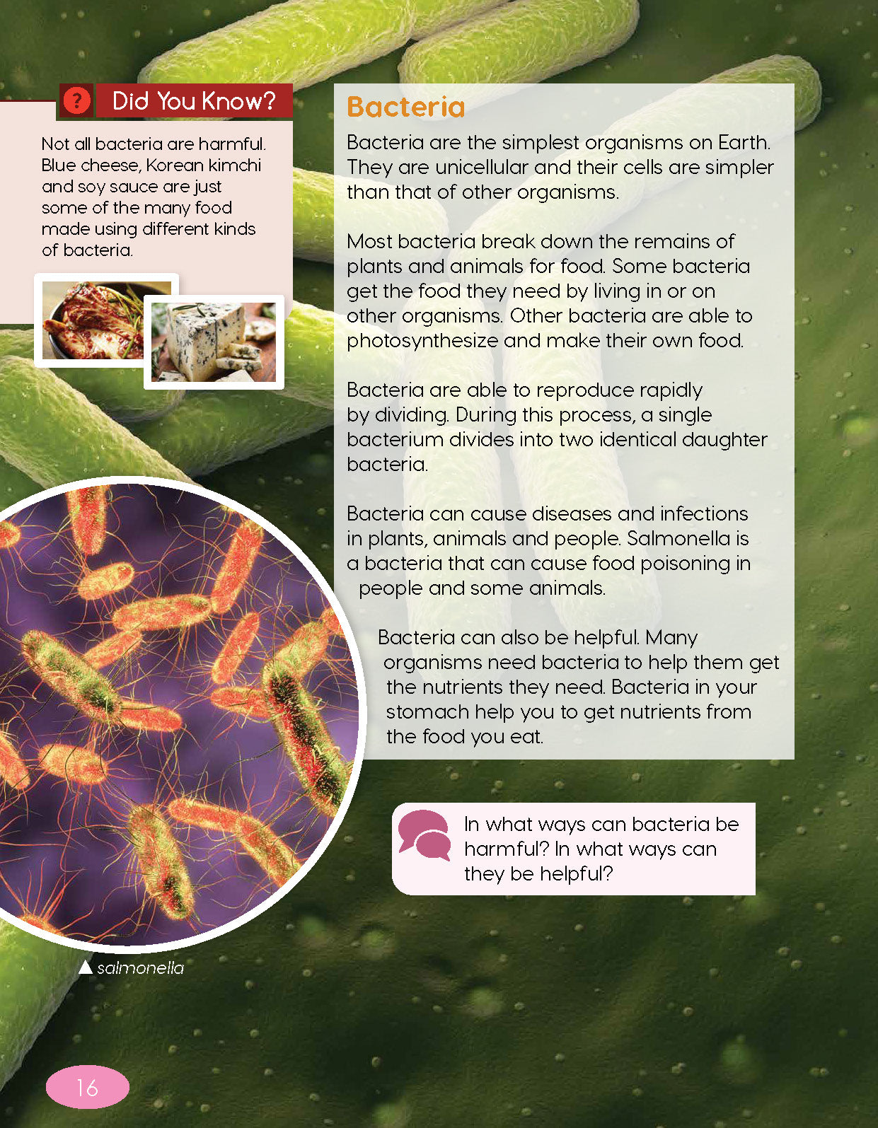 Next Generation Science Textbook – Grade 4, Book A