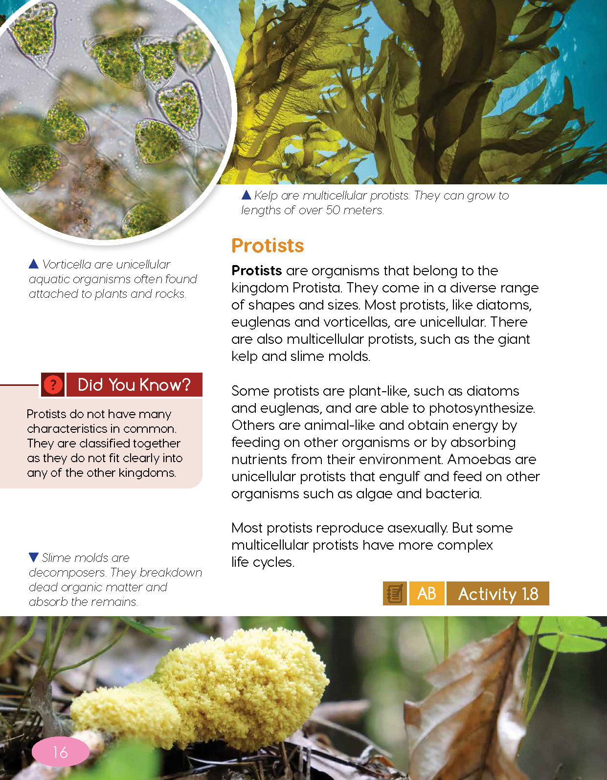 Next Generation Science Textbook – Grade 5, Book A