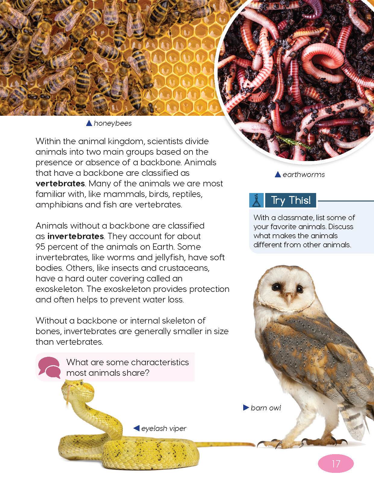 Next Generation Science Textbook – Grade 6, Book A