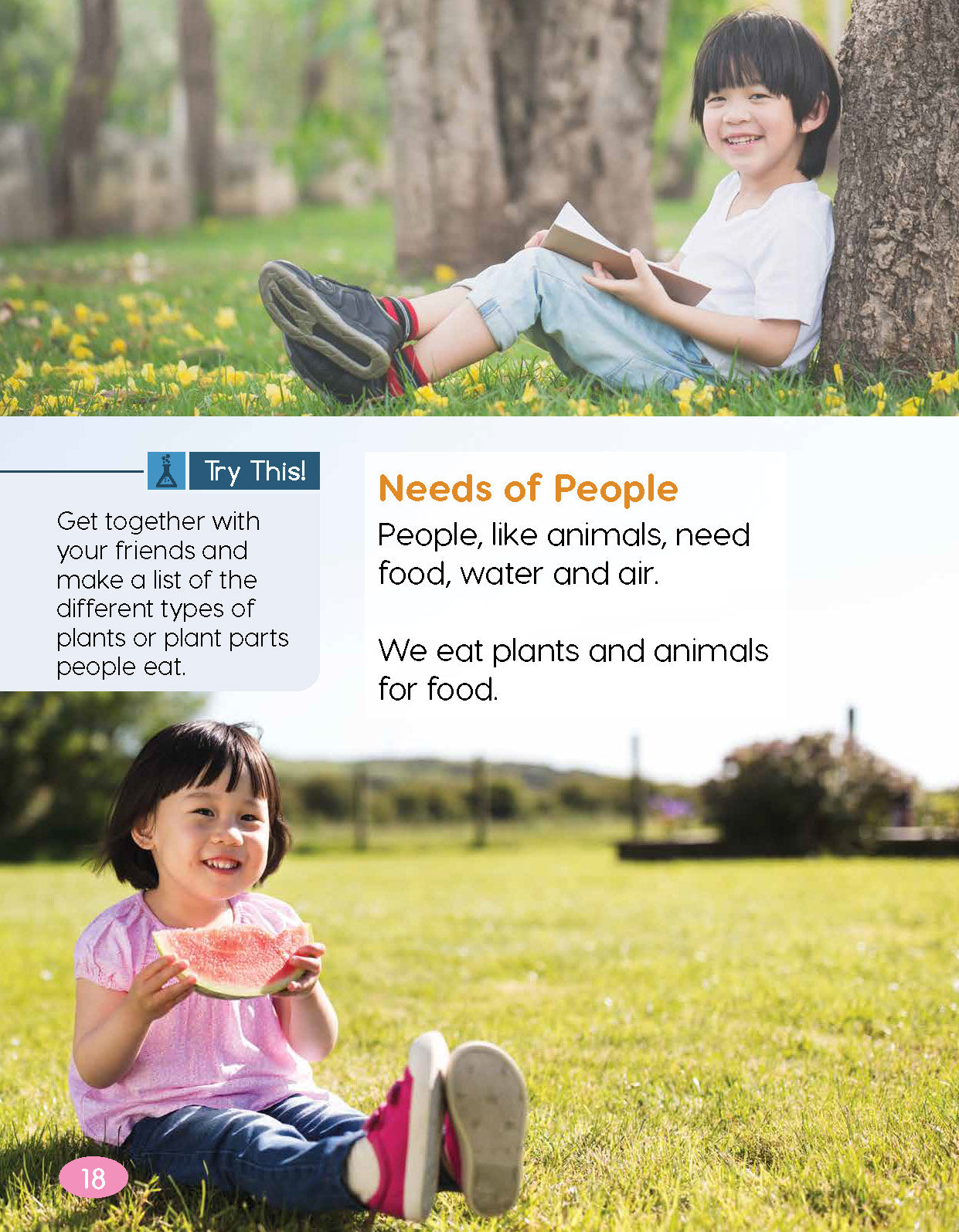 Next Generation Science Textbook – Grade K, Book A