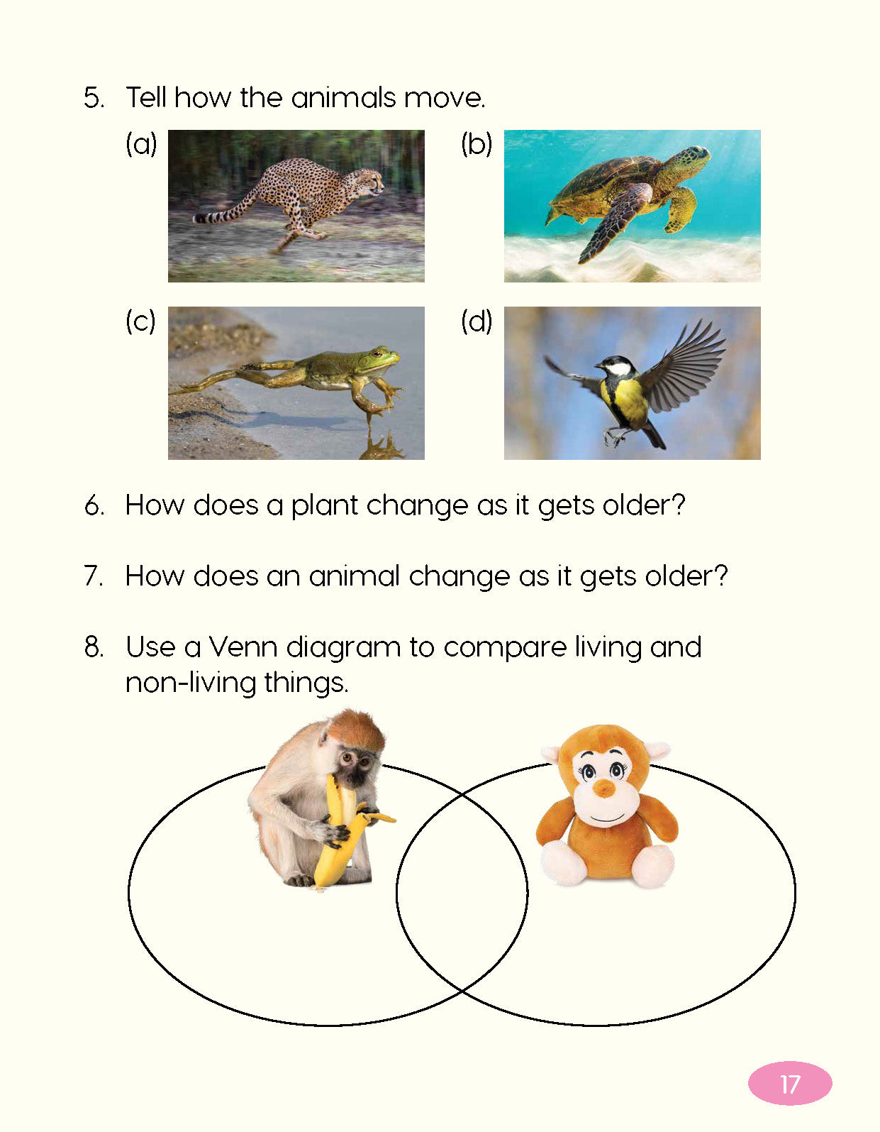 Next Generation Science Textbook – Grade 1, Book A