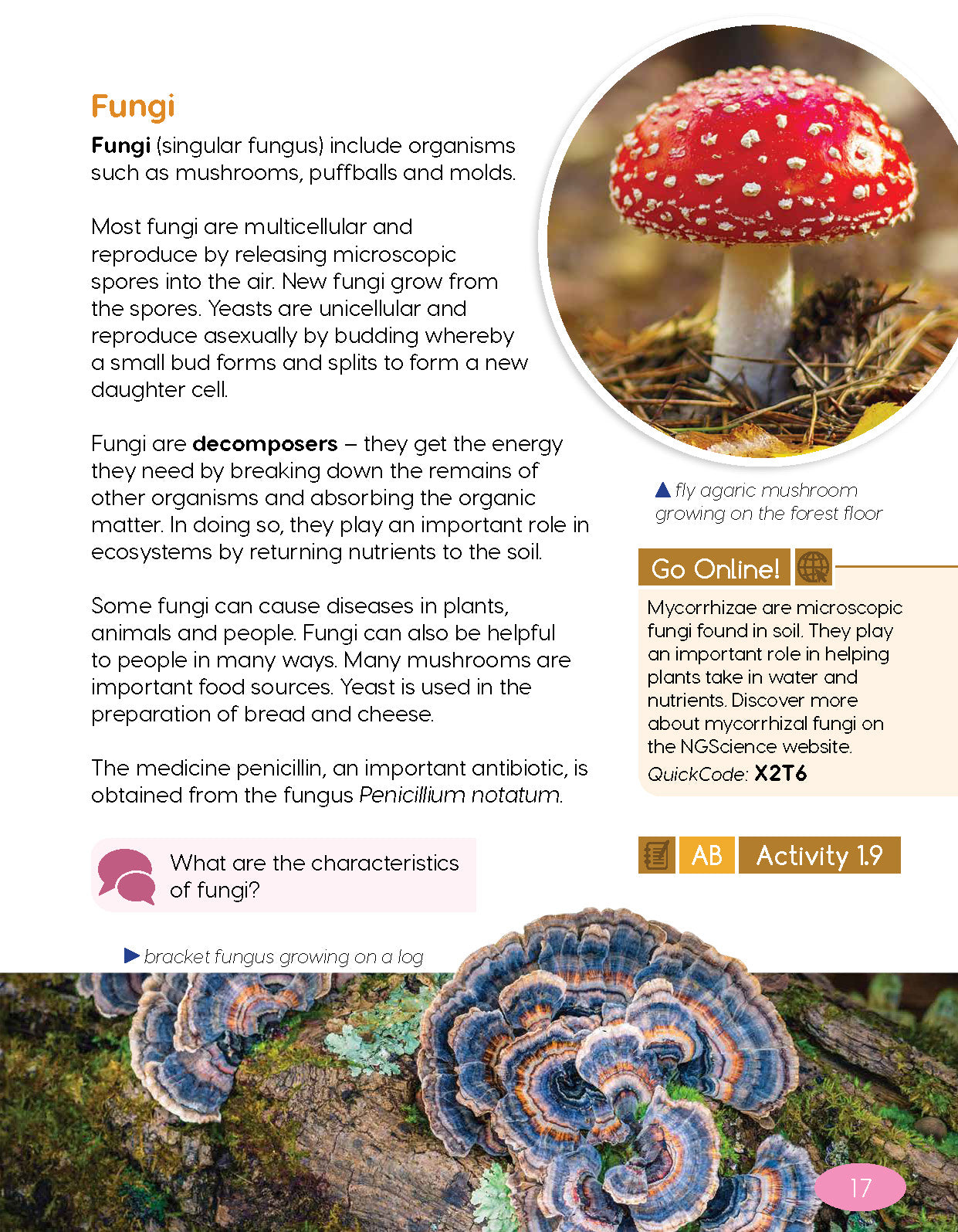Next Generation Science Textbook – Grade 5, Book A
