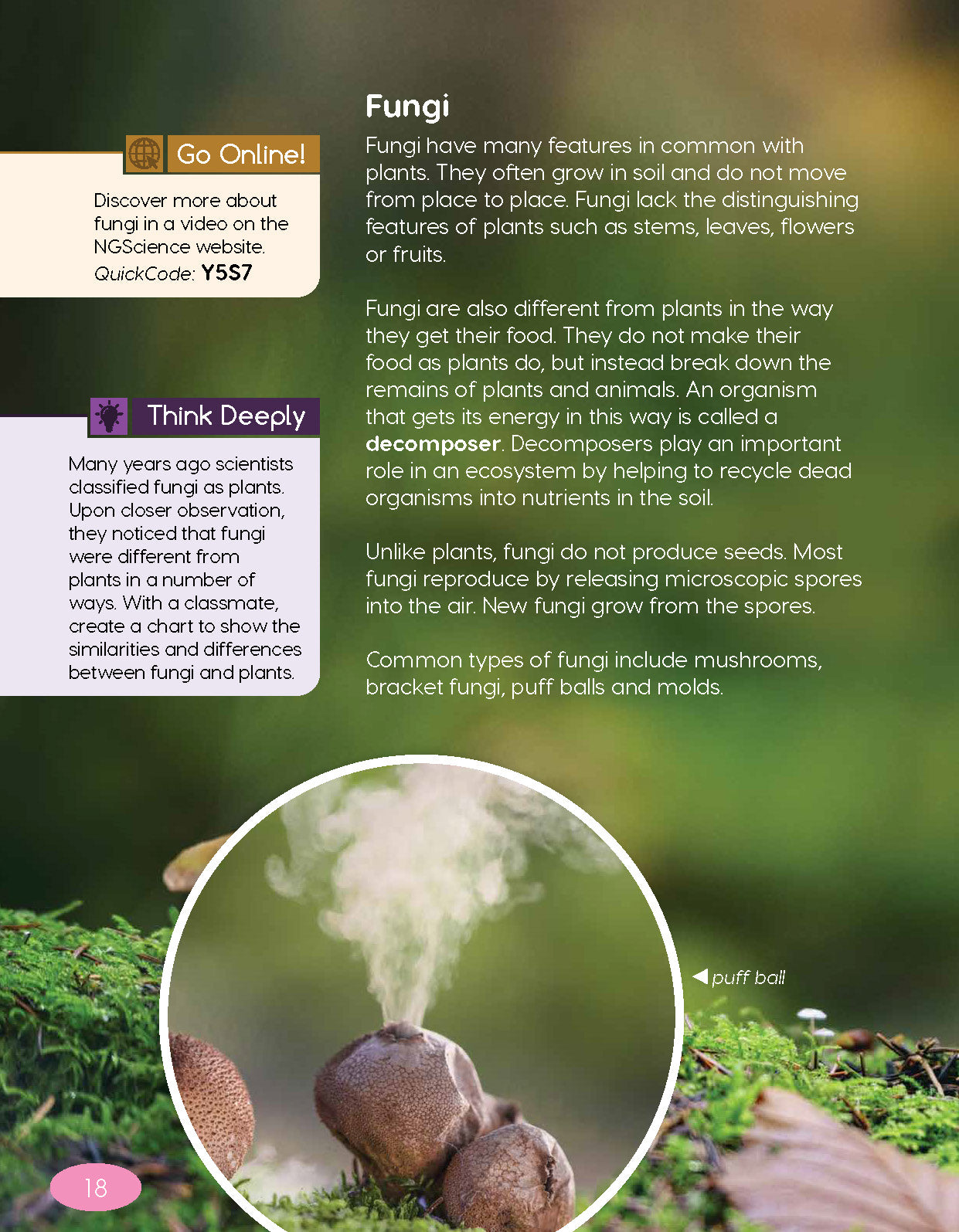 Next Generation Science Textbook – Grade 4, Book A
