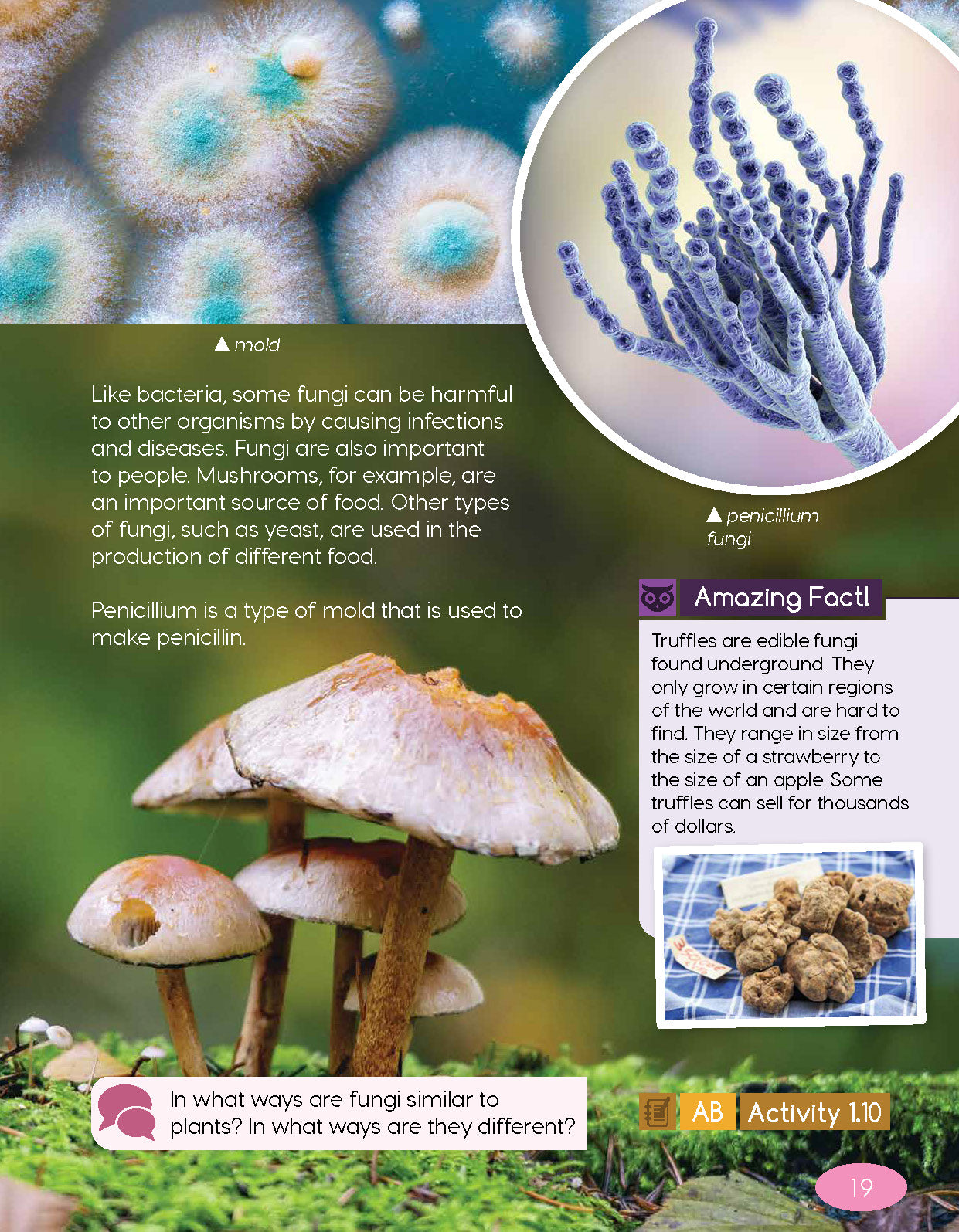 Next Generation Science Textbook – Grade 4, Book A