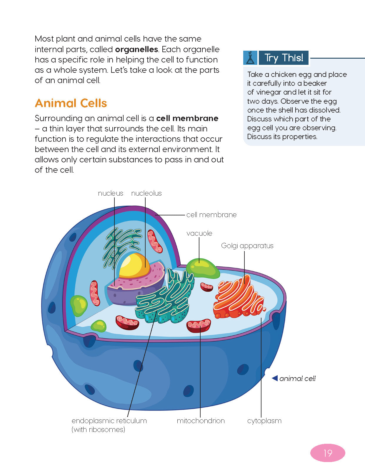 Next Generation Science Textbook – Grade 6, Book A