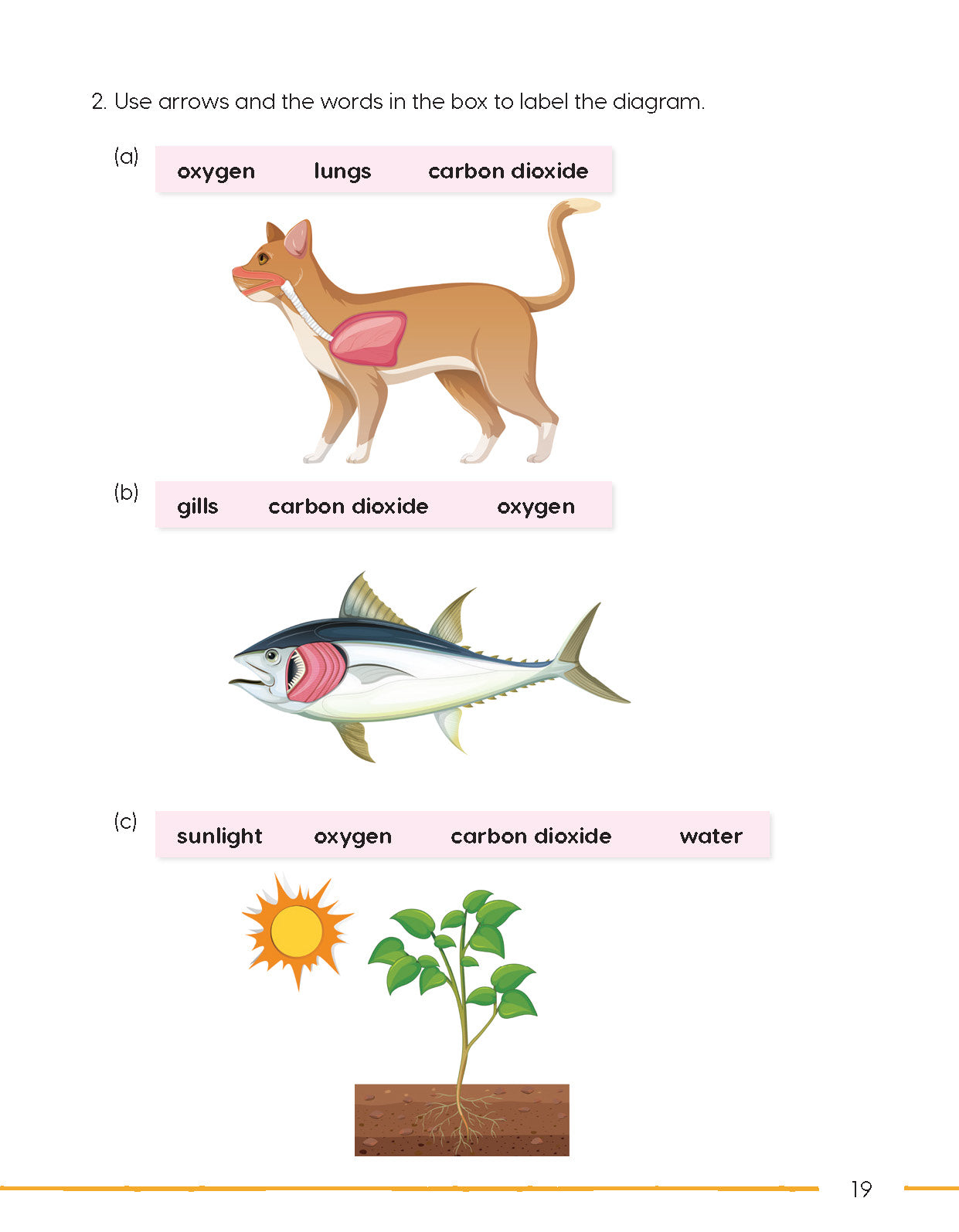 Next Generation Science Activity Book – Grade 3, Book A