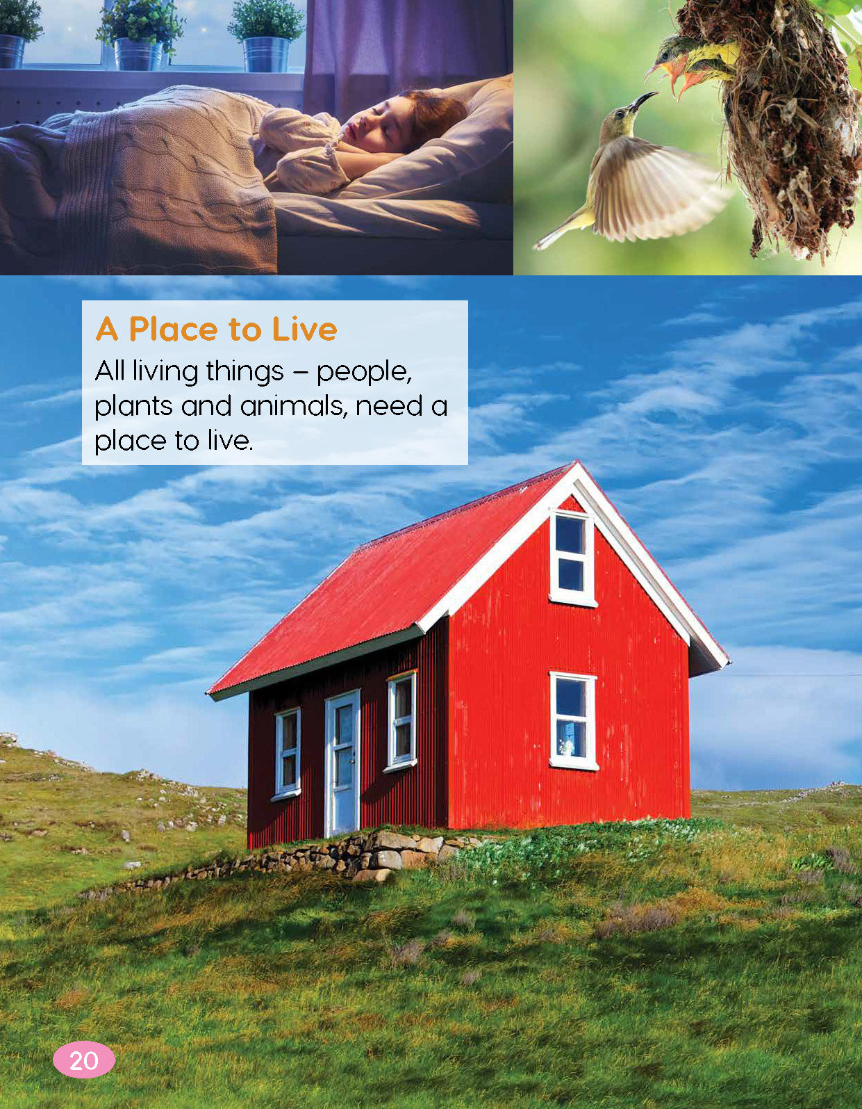 Next Generation Science Textbook – Grade K, Book A