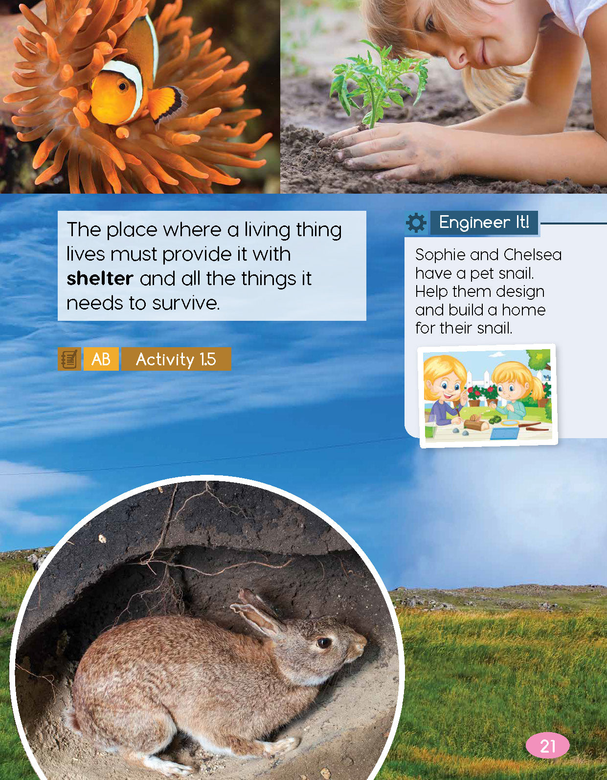 Next Generation Science Textbook – Grade K, Book A