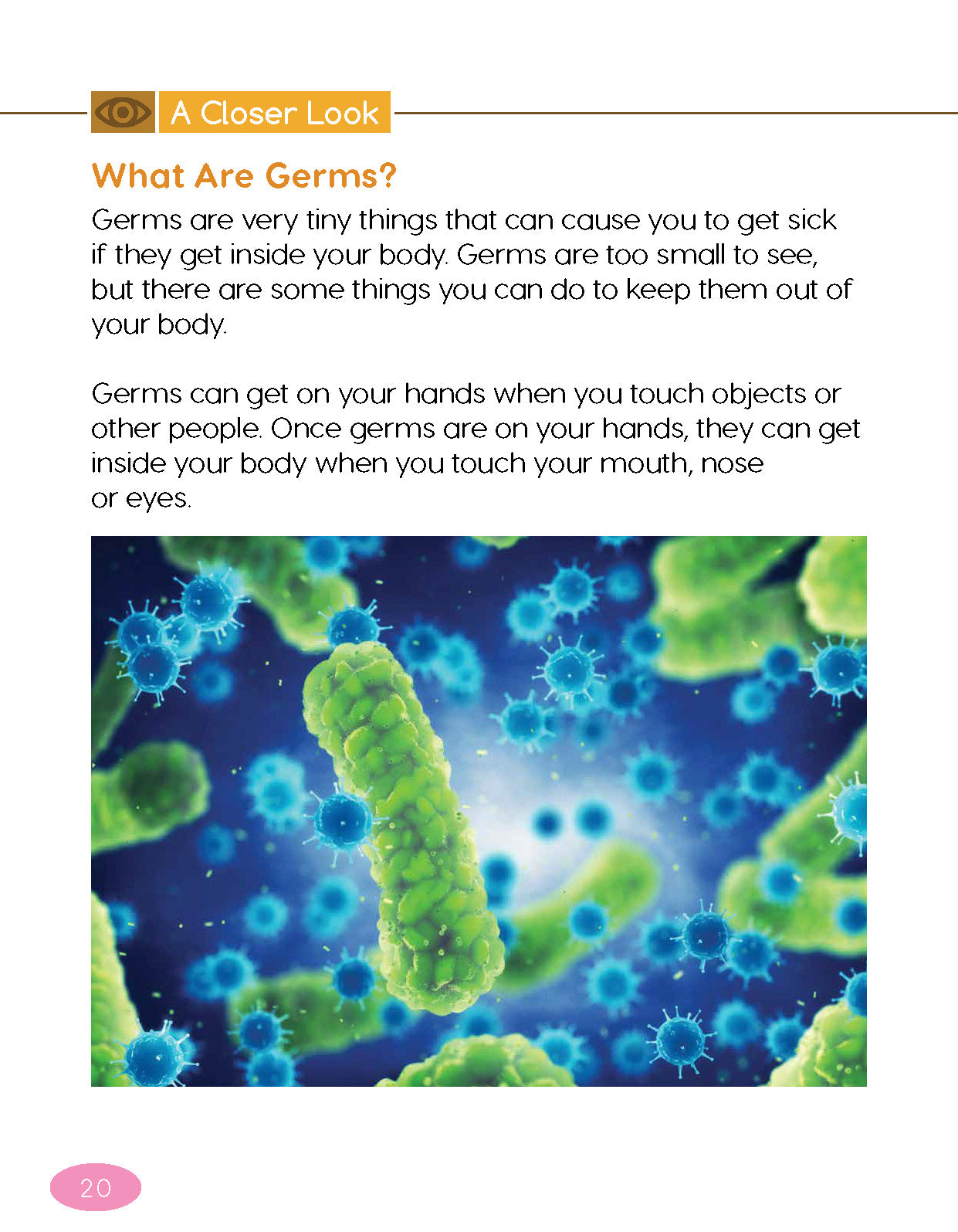 Next Generation Science Textbook – Grade 2, Book A
