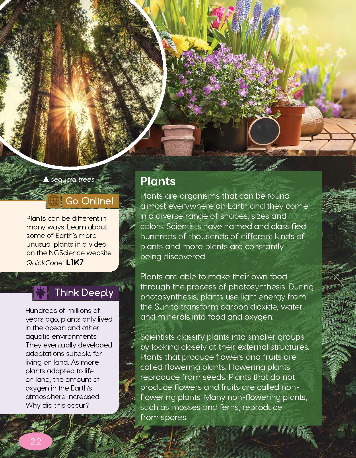 Next Generation Science Textbook – Grade 4, Book A
