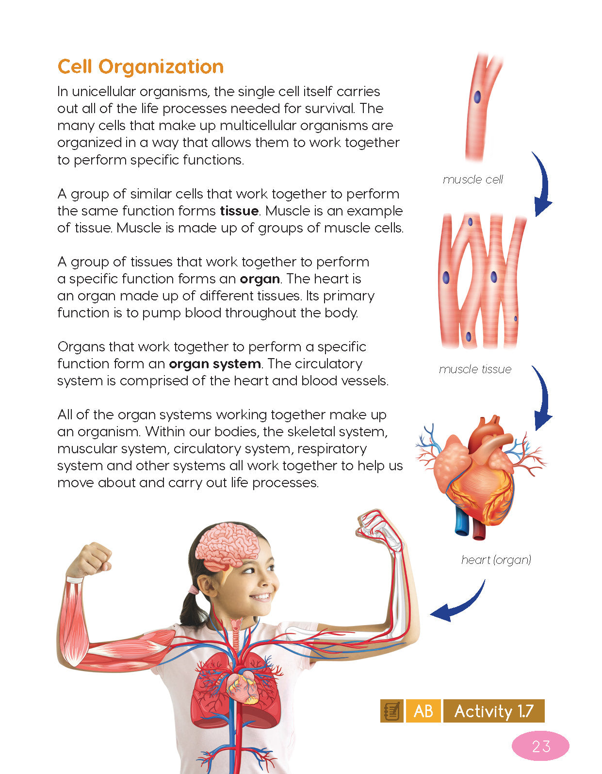 Next Generation Science Textbook – Grade 6, Book A