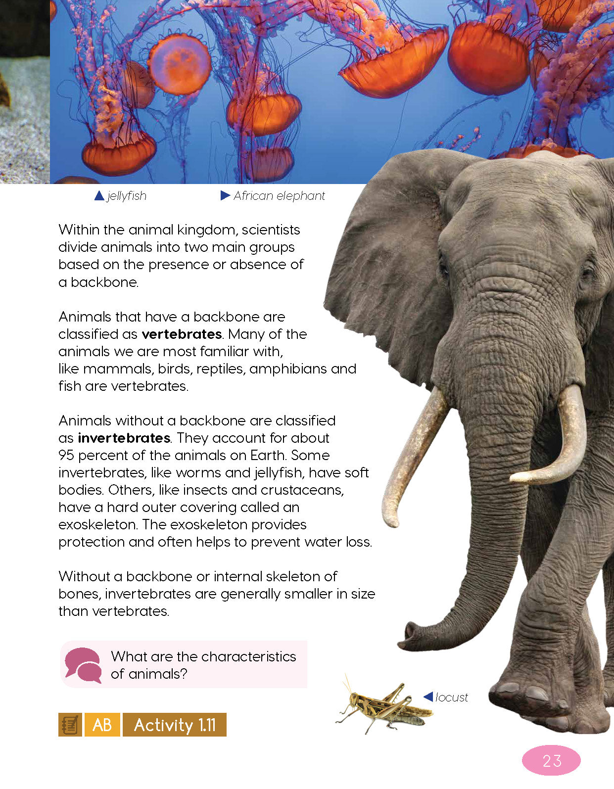 Next Generation Science Textbook – Grade 5, Book A