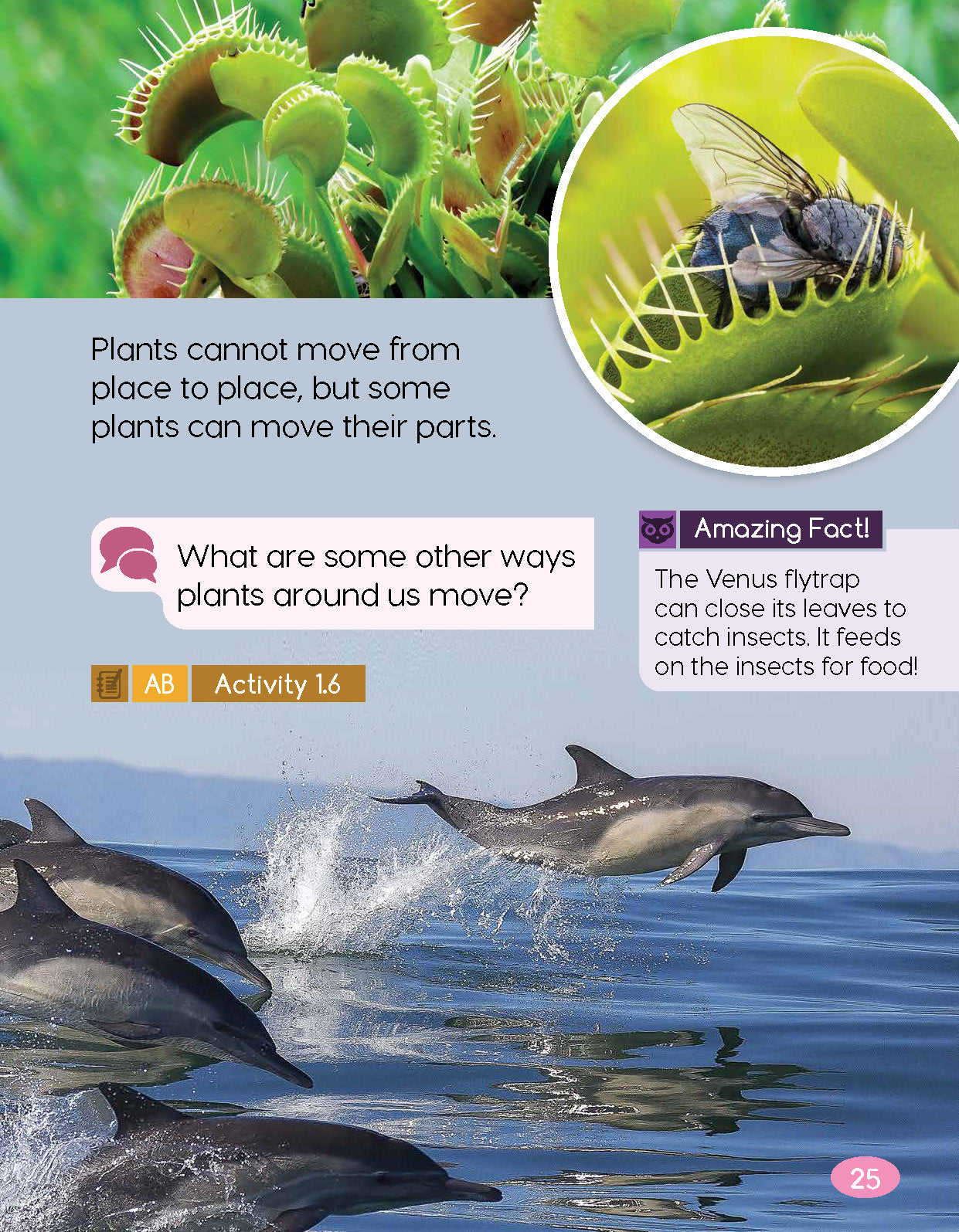 Next Generation Science Textbook – Grade K, Book A