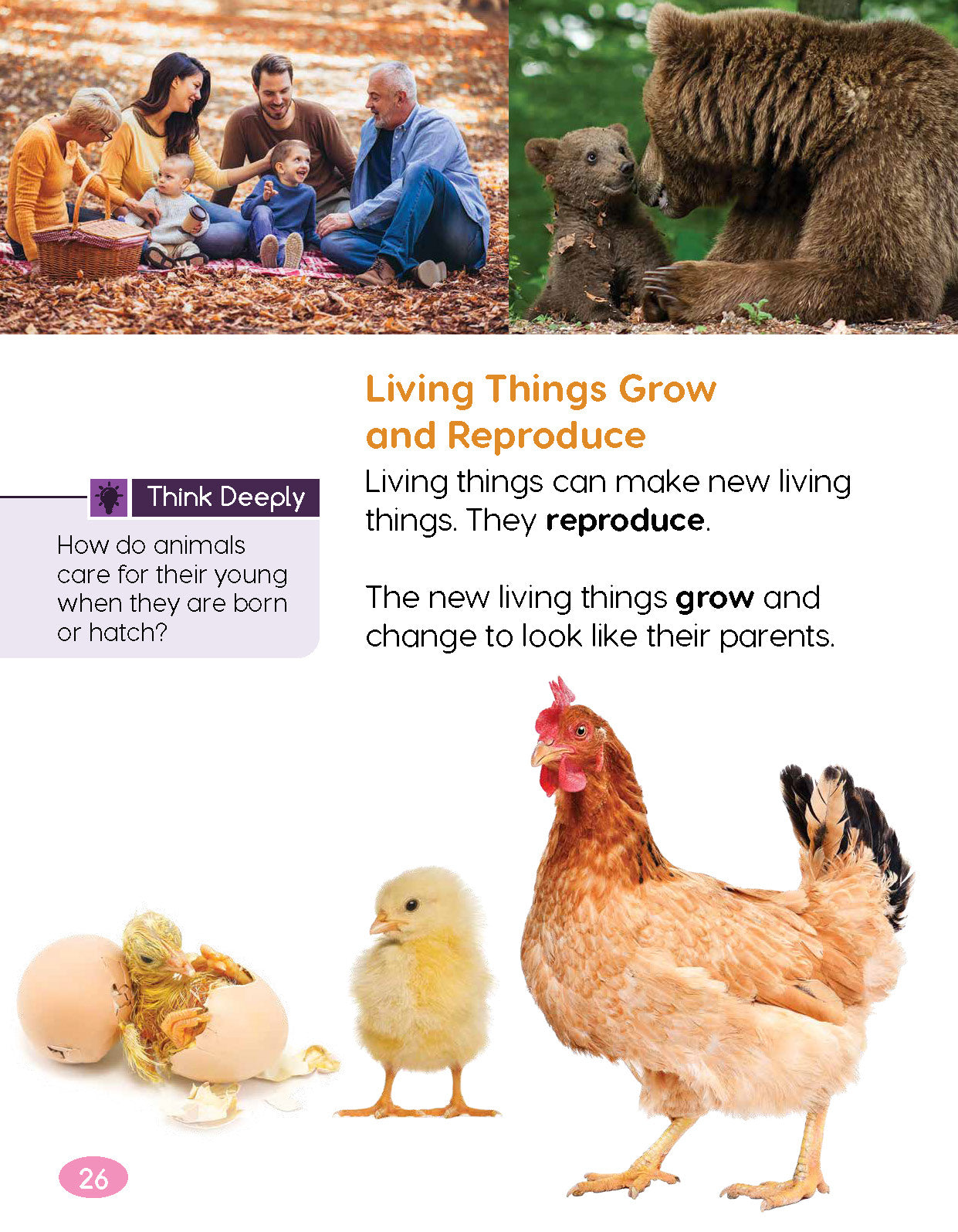Next Generation Science Textbook – Grade K, Book A