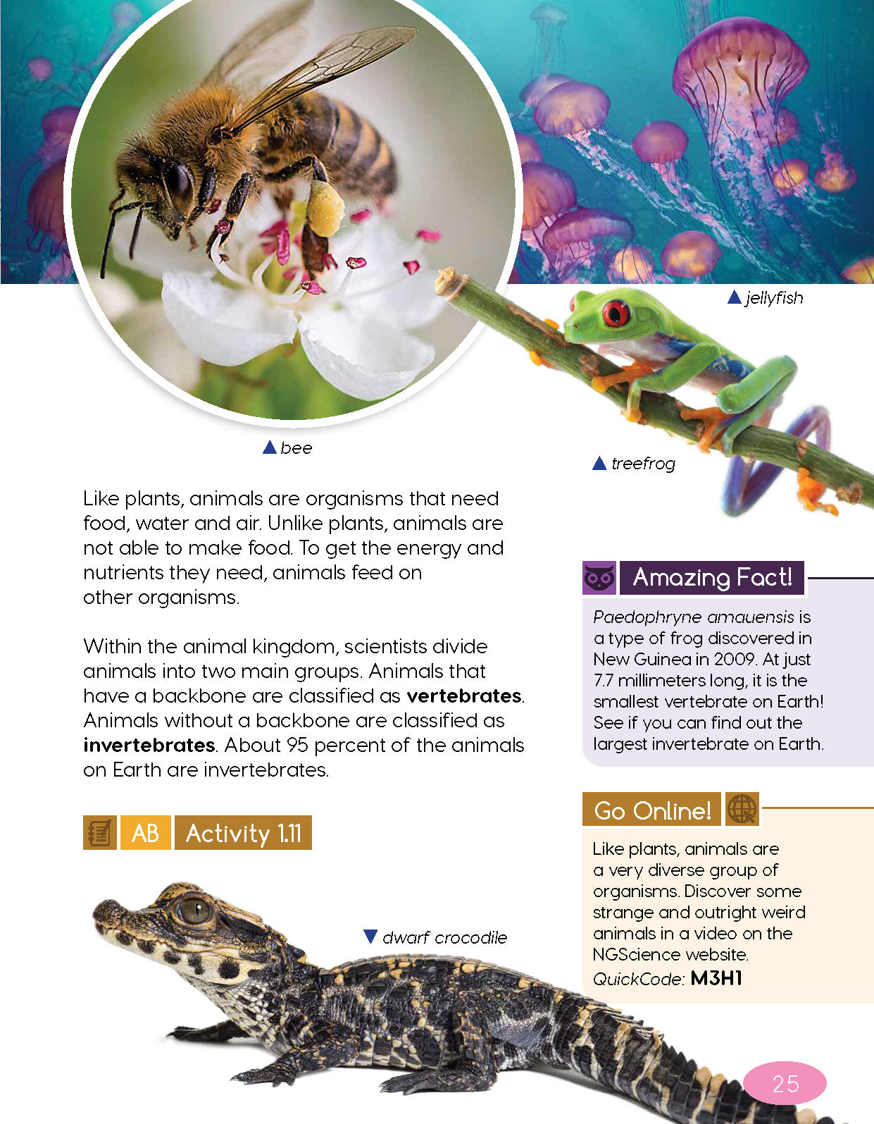 Next Generation Science Textbook – Grade 4, Book A