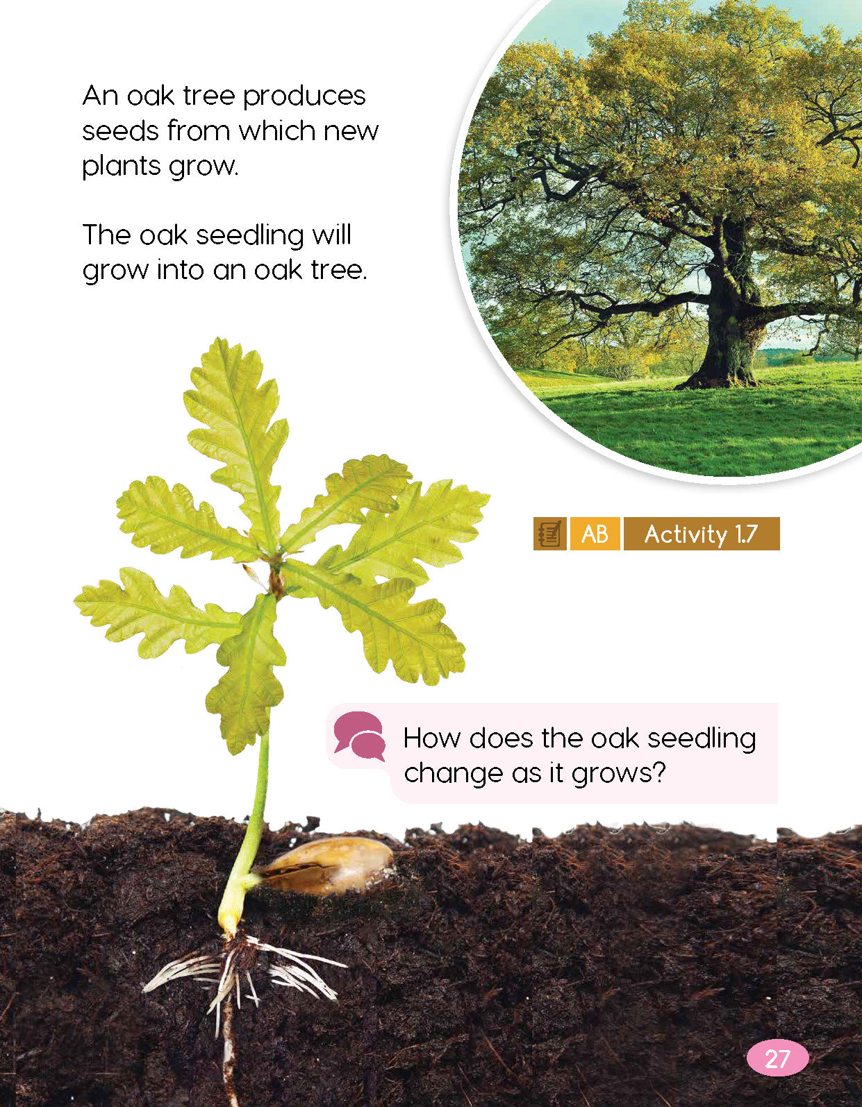 Next Generation Science Textbook – Grade K, Book A
