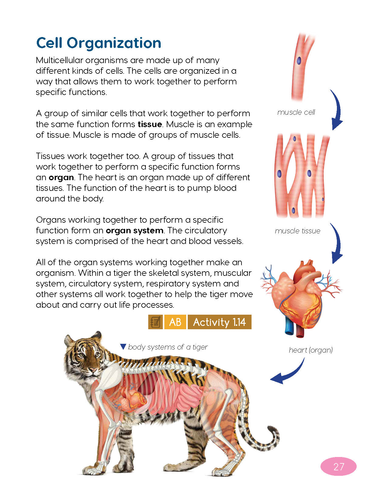 Next Generation Science Textbook – Grade 5, Book A