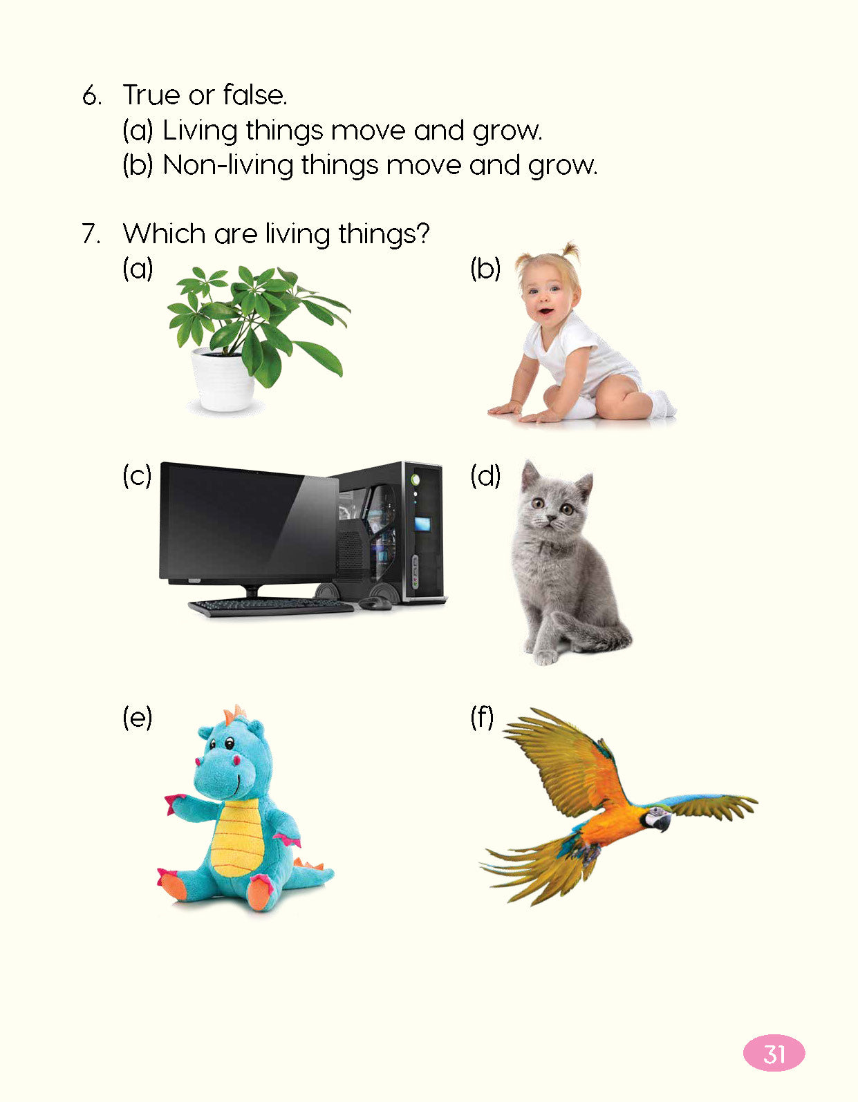 Next Generation Science Textbook – Grade K, Book A