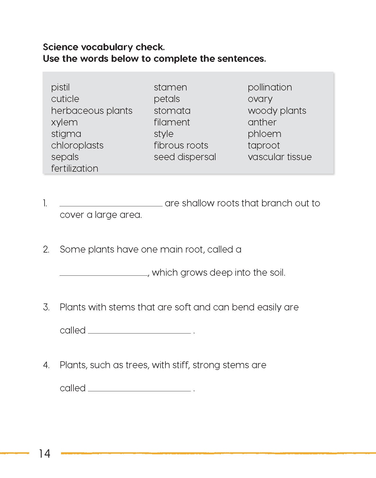 Next Generation Science – Review and Assessment Level 4