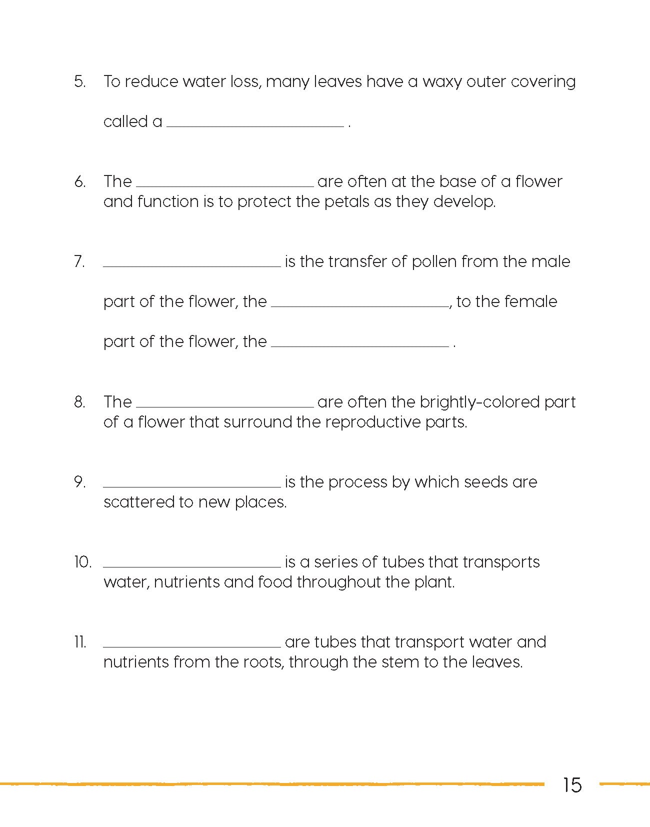 Next Generation Science – Review and Assessment Level 4