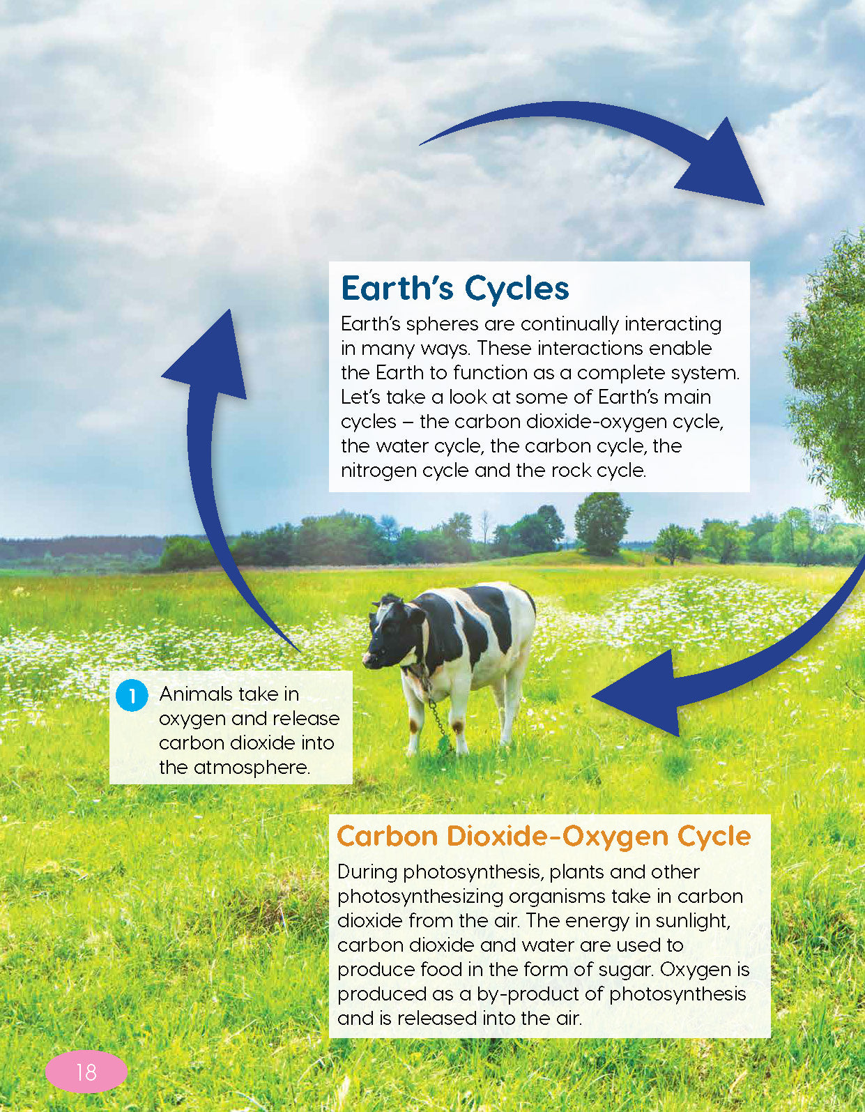 Next Generation Science Textbook – Grade 5, Book B