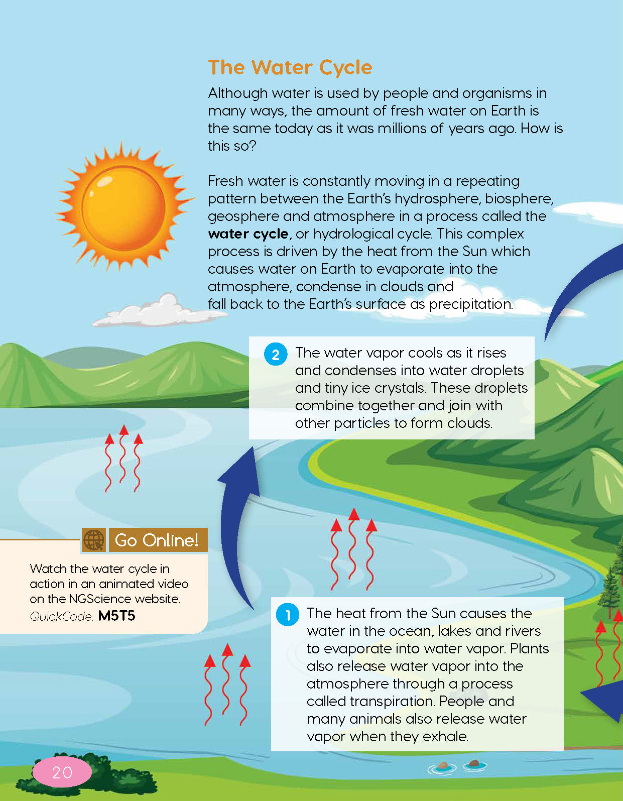 Next Generation Science Textbook – Grade 5, Book B