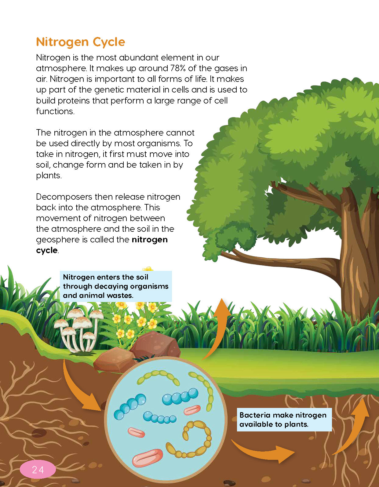 Next Generation Science Textbook – Grade 5, Book B